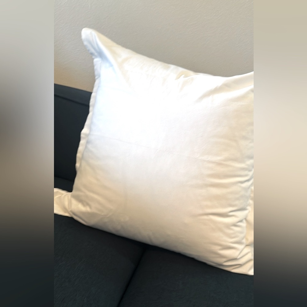BRAND NEW X-LG Euro White Cotton Designer Pillow & Insert